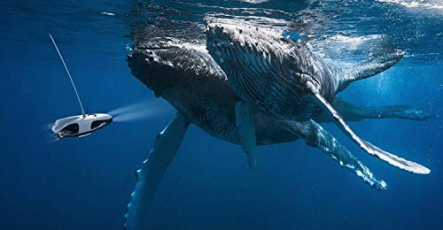 image for Power Vision PowerRay Wizard Underwater 4K UHD ROV/Drone with ZEISS VR