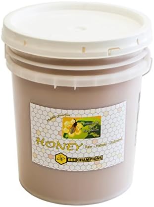 Bee Champion 5 Gallon Bucket of Natural Raw Honey