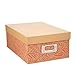 Darice 30032639 Decorative Photo Storage Box, Fern, Coral