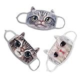 Cute Unisex Adults Youth Vivid 3D Cat Face Soft Breathable Activated Carbon Cotton Fleece Anti Dust Earloop Mouth Face Warm Mask Dustproof Windproof Warmer Masks Healthy Air Filters Set of 3pcs Gift