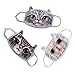 Cute Unisex Adults Youth Vivid 3D Cat Face Soft Breathable Activated Carbon Cotton Fleece Anti Dust Earloop Mouth Face Warm Mask Dustproof Windproof Warmer Masks Healthy Air Filters Set of 3pcs Gift