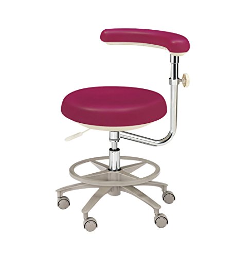 SoHome Portable Dental Chairs for Dentist HS-7 Medical Adjustable Mobile Assistant Chair PU/Microfiber Leather (PU Leather)