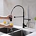 Avola Kitchen Faucet,Black Kitchen Faucet