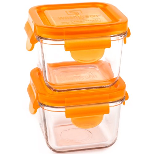 Wean Green 2-Pack Snack Cubes Glass Food Containers, Carrot
