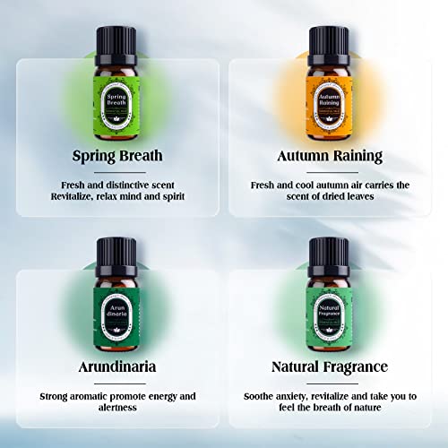 Natural Theme Essential Oils Set - Top 7 Aromatherapy Oils for Diffusers Humidifiers - Fragrance, Massages, Office, Soap Scents, Candle Making, Skin, Hair, Sleep, Calming, Relaxing, Home Care