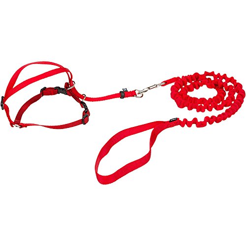PetSafe Come with Me Kitty Harness and Bungee Leash, Harness for Cats Awesome Pet Supply Deals