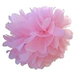 Pom Poms 6 Pack 12