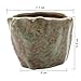 T4U Small Green Ceramic Succulent Planter Pots with Drainage Hole Set of 6, Spring Glaze Porcelain Handicraft Plant Holder as Gift for Mom Sister Daughter for Home Office Garden Desktop Decoration