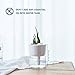 T4U Cool Mist Humidifiers, Ultrasonic Humidifiers with Small Plant Container, 320ML USB Air Diffuser for for Desktop Office Bedroom with Nightlight Mute Auto Shut-Off Lasts Up to 10 Hours