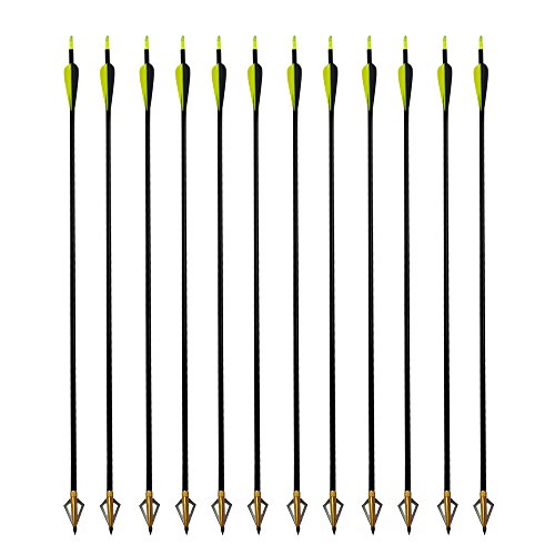 Boshen 32" Archery Fiberglass Arrows Hunting Targeting Practice Arrows+3 Blade Broadheads for Recurve or Compound Bow-12 Pack