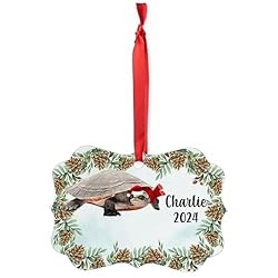Pink Belly Sideneck Turtle Christmas Ornament 2024