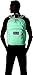 JanSport Big Student Classics Series Backpack (Seafoam Green)