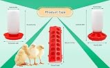 VandanCoop 1kg Chick Feeder & 1L Waterer Set Poultry Pigeon Coop Automatic view 4
