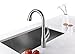 Purelux Calla Modern Design Single Handle Pull Down High Arc Kitchen Faucet fits 1 or 3 hole installation, Satin Stainless Finish Pull Out Sprayer Kitchen Sink Faucets