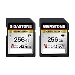 Gigastone 256GB 2-Pack SD Card, 4K Camera Pro