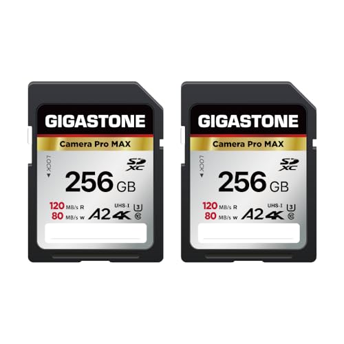 Gigastone 256GB 2-Pack SD Card, 4K Camera Pro