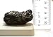 hBARSCI Santa's Christmas Coal with Science Experiment - Large Lump of Genuine American Coal in Premium Cotton Bag (Egg/Golf Ball Size, 2.5