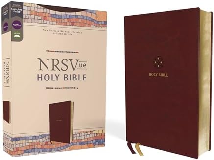 Holy Bible - New Revised Standard Version: Division of Christian