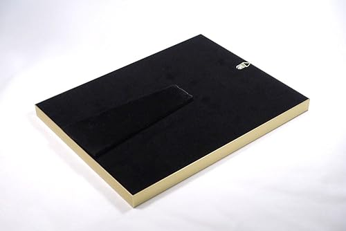 YouTube クリエイター アワード 金の盾 銀の盾 レプリカ (銀の盾（チャンネル名指定可能）) [並行輸入品] - サムネイル 2