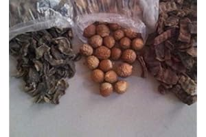 PLANET 007 krishna krpa Dry Whole Amla Reetha Shikakai Soapnut Gooseberry Acacia Concinna (200gm each)