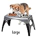 Elevated Dog Food Bowl - Bergan Stormcloud Feeder (Black – Grey)