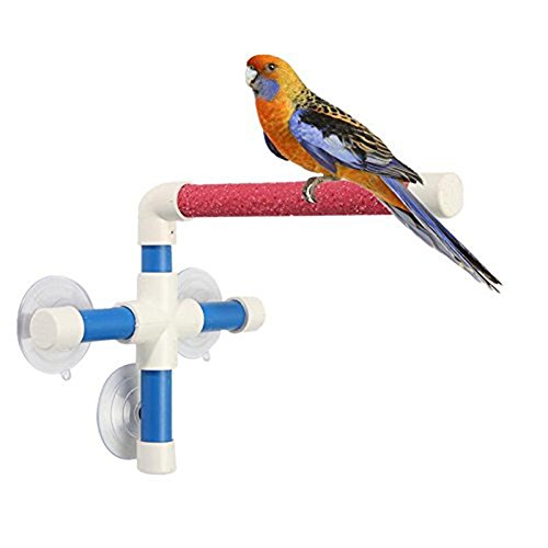 Portable Suction Cup Bird Window and Shower Perch Toy for Bird Parrot Macaw Cockatoo African Greys Budgies Parakeet Bath Perch Toy