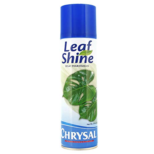 Chrysal Leaf Shine Spray Adds Protective Layer and Natural Shiny Look