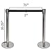 3-ft. Control Stanchions | Heavy Duty | Retractable 6.25 ft. Belt | Easy to Assemble | Perfect for Events & Parties|Silver pack of 1 set