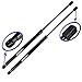 Two Rear Hatch Liftgate Gas Charged Lift Supports For 2006-2012 Kia Sedona, 2007-2009 Hyundai Entourage. With or Without Power Hatch. Left and Right Side. WGS-297-2