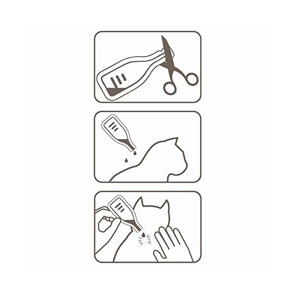 Beaphar | FIPROtec Spot-On for Cats | Kills Fleas & Ticks | Vet Strength Treatment | 6 Pipettes