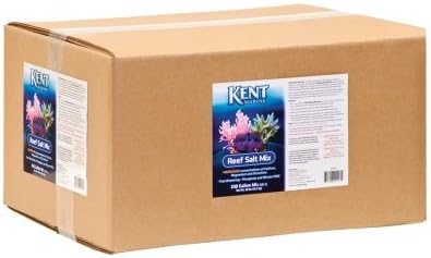 Knt Salt Sea 200g Bx(4-50g Bg)