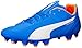 PUMA Men's Evospeed 4.4FG Soccer Shoe