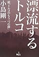 漂流するトルコ―続「トルコのもう一つの顔」