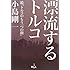 漂流するトルコ―続「トルコのもう一つの顔」