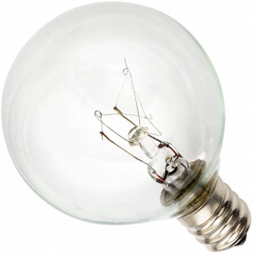 Deneve Globe String Lights with G40 Bulbs by Outdoor Garden Party Patio Bistro Market Cafe Hanging Umbrella Lamp Backyard Lights 100% Guarantee on Light String (White 50 ft)