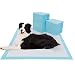 BESTLE Extra Large Pet Training and Puppy Pads Pee Pads for Dogs 28"x34" -40 Count Super Absorbent & Leak-Free primary