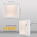 JforU Plug in LED Night Light with Dusk to Dawn Sensor and Adjustable Brightness with Switch Nightlight for Living Room, Kids Baby Adults Bedroom, Kitchen Room, Hallway, Stairway, 2 Pack, Warm White