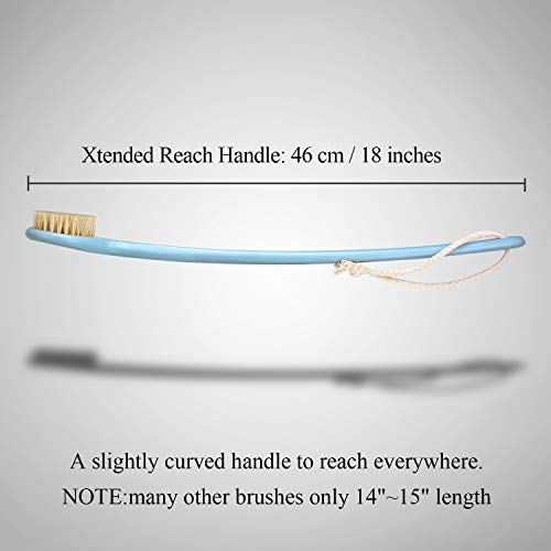 Body Brush for Dry or Wet Brushing,Stiff Bristles for Dry Skin Body Exfoliator, 18" Long Handle Shower and Bath Scrubber for Wash Brushing, Exfoliating,Leg Exfoliant Massage (Blue) - Thumbnail 2