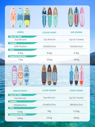 Niphean Inflatable Paddle Board for Adults with All Accessories, 320 cm Inflatable Paddle Surfing for All Levels, Sup Capacity 200 kg for 2 People, Stand Up Paddle Board with Seat