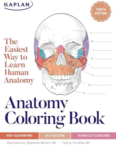 Netter's Anatomy Coloring Book Updated Edition (Netter Basic