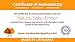 Raw Baltic Amber Adult Necklace- Raw Cognac Color - 18 inches long - Anti-inflammatory - Natural Pain Relief for Carpel Tunnel, Arthritis, Sinus Pressure, Headaches and Migraines
