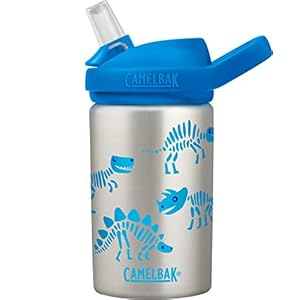 CAMELBAK Eddy Plus SST vacuüm geïsoleerde flessen