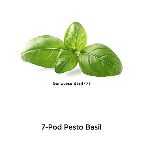 AeroGarden Pesto Basil Seed Pod Kit, 7 pod Pricepulse