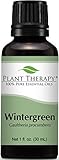 Plant Therapy Wintergreen Essential Oil. 100% Pure, Undiluted, Therapeutic Grade. 30 ml (1 oz).