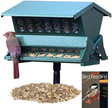 Amazon Com Bestnest Heritage Farms Absolute Bird Feeder With