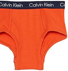 Calvin Klein Boys' Modern Cotton Assorted Briefs