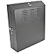 Tripp Lite 4U Vertical Wall Mount Rack Enclosure Cabinet, Low Profile, Switch-Depth, 20