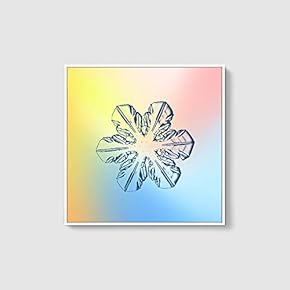Framed Canvas Wall Art for Living Room, Bedroom Snowflake Theme Canvas Prints for Home Decoration Ready to Hang - 16x16 inches