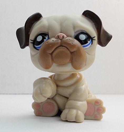 bunny chewing on cage