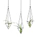 Mkono 3Pcs Hanging Air Plant Holder Himmeli for Tillandsia Airplants Display (with Chains), Black